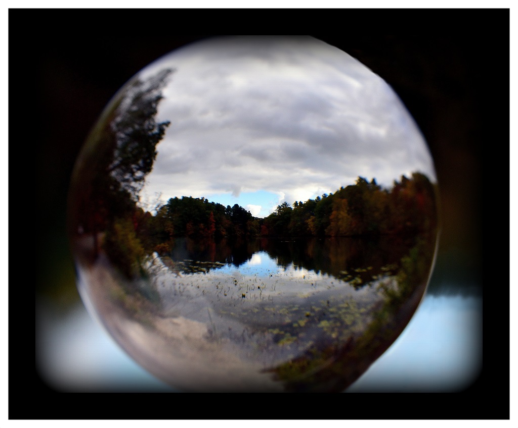 Print In Class A By Debra Meole For MY CRYSTAL BALL JAN-2019.jpg